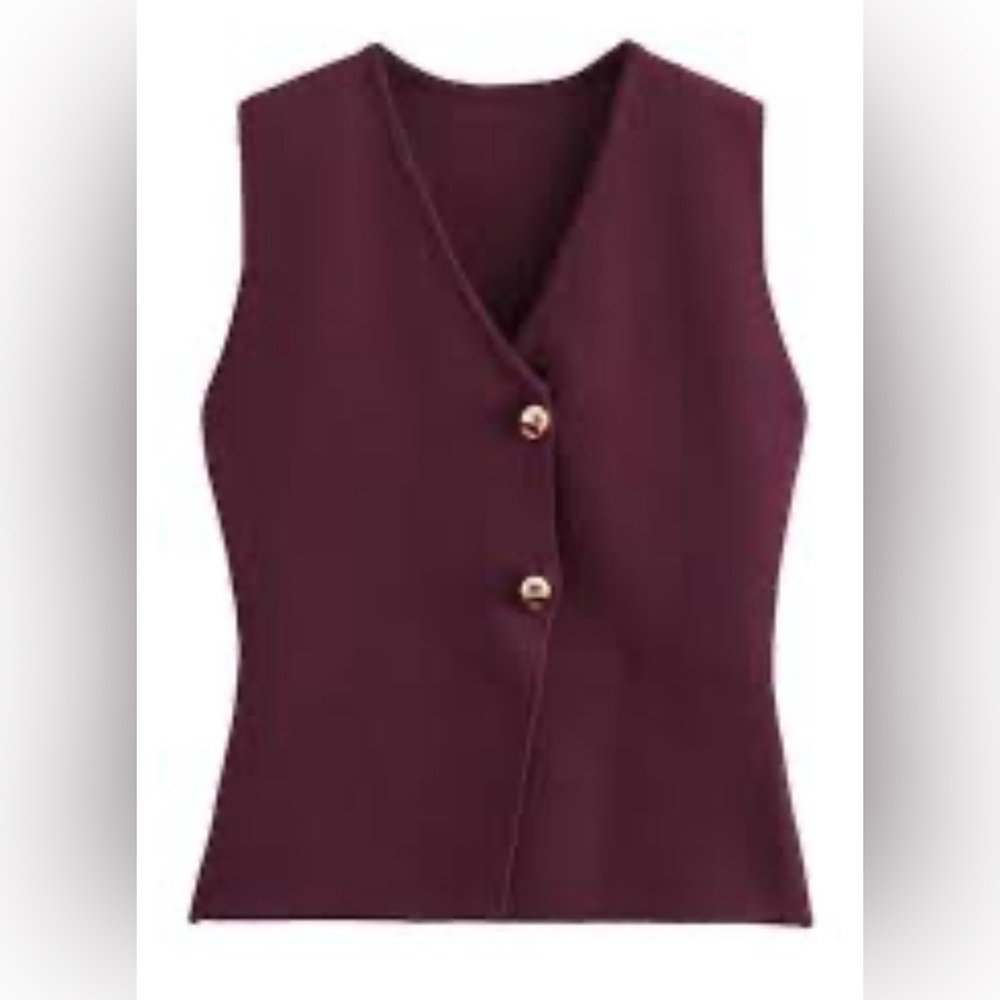 Zara Burgundy Knit Top